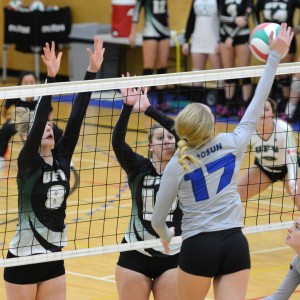 Featured-WVB vs Camosun-Nov29-14